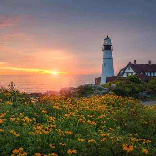 Lighthouse spring wallpaper