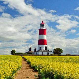 Lighthouse spring wallpaper