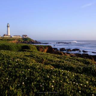 Lighthouse spring wallpaper