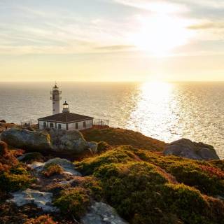 Lighthouse spring wallpaper