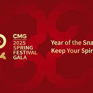 Spring festival 2025 wallpaper