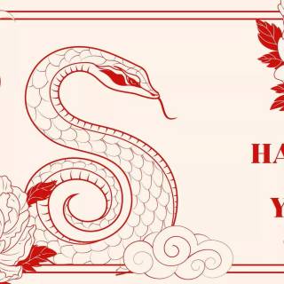 Spring festival 2025 wallpaper