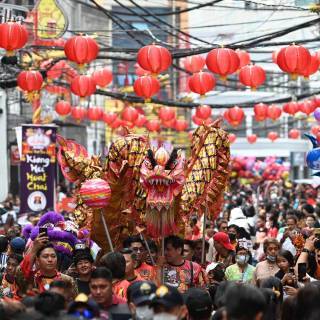 Spring festival 2025 wallpaper