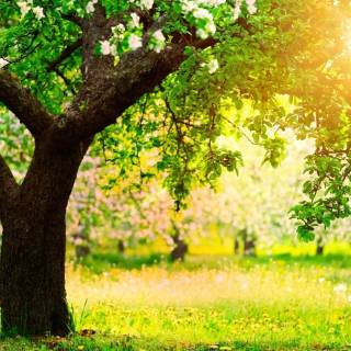 Spring day HD wallpaper