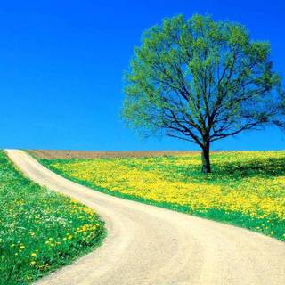 Spring day HD wallpaper