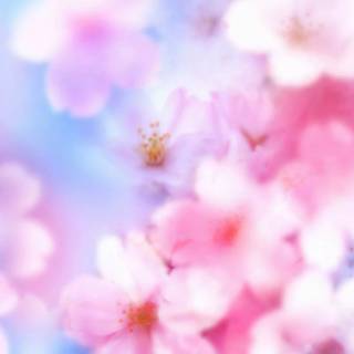 Spring day HD wallpaper