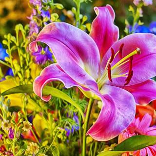 Spring lillies wallpaper