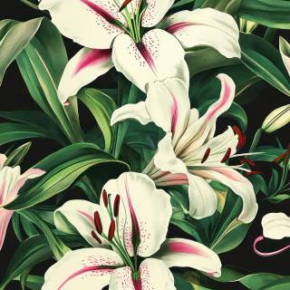 Spring lillies wallpaper