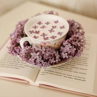 Spring coffee desktop wallpaper