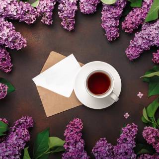 Spring coffee desktop wallpaper