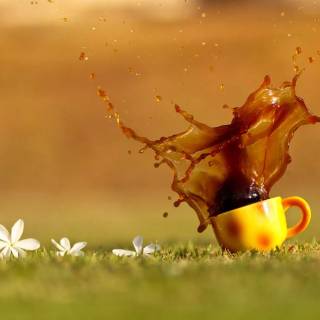 Spring coffee desktop wallpaper