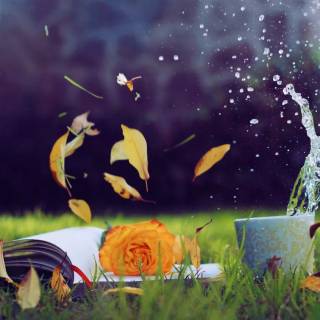 Spring coffee desktop wallpaper