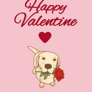 Cute dogs Valentines wallpaper