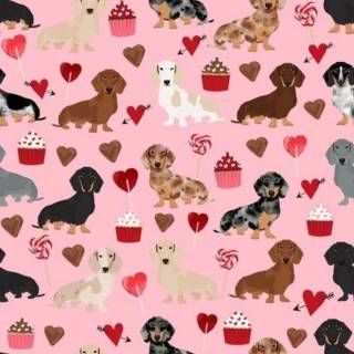 Cute dogs Valentines wallpaper