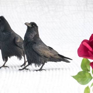 Gothic Valentines Day wallpaper