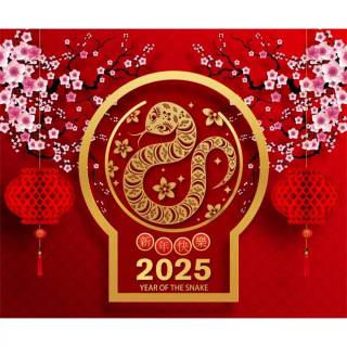Lunar New Year 2025 wallpaper