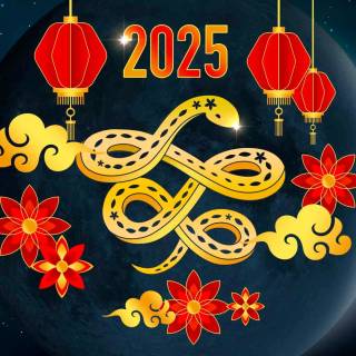 Lunar New Year 2025 wallpaper