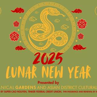 Lunar New Year 2025 wallpaper