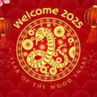 2025 Chinese New Year wallpaper