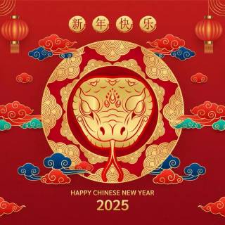 2025 Chinese New Year wallpaper