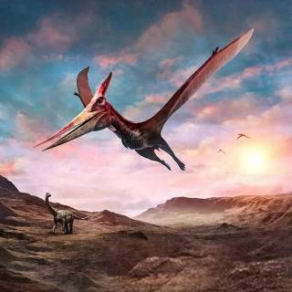Flying dinosaur wallpaper