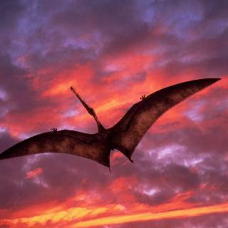 Flying dinosaur wallpaper