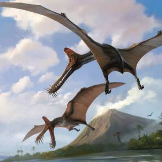 Flying dinosaur wallpaper