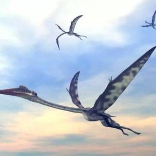 Flying dinosaur wallpaper