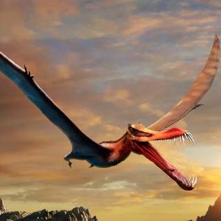 Flying dinosaur wallpaper