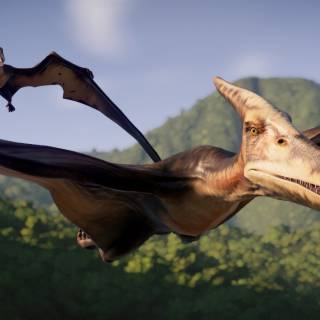 Flying dinosaur wallpaper