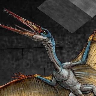 Flying dinosaur wallpaper