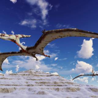 Flying dinosaur wallpaper