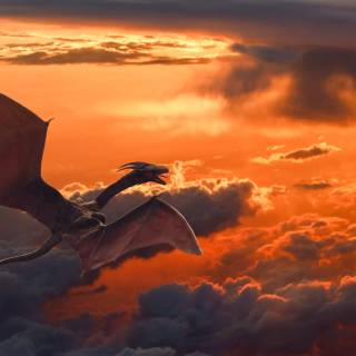 Flying dinosaur wallpaper