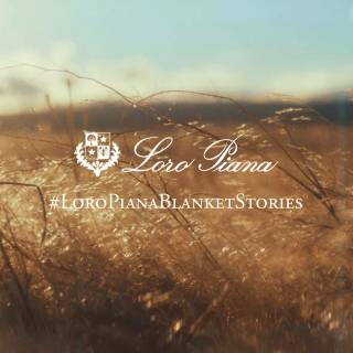 Loro Piana wallpaper