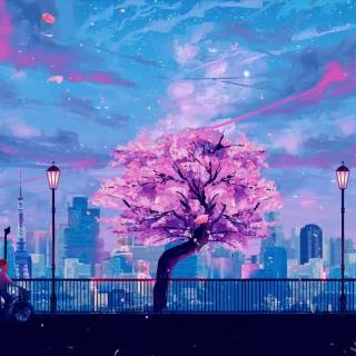 Anime bicycle wallpaper