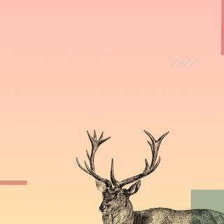 Geometric deer wallpaper