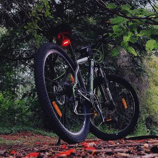 Bike cycle wallpaper