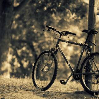 Bike cycle wallpaper