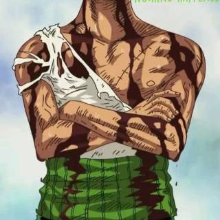 Zoro Nothing Happend wallpaper