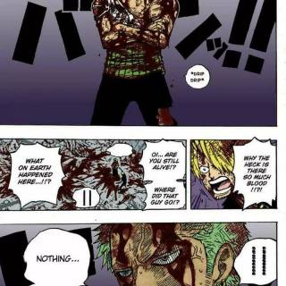 Zoro Nothing Happend wallpaper
