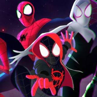 Spider-Man and Spider Gwen wallpaper