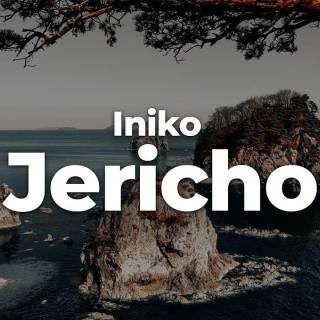 Iniko wallpaper