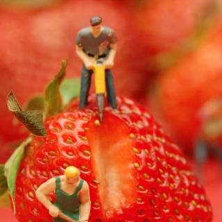 Funny strawberry wallpaper