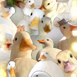 Duck collage wallpaper