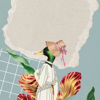 Duck collage wallpaper