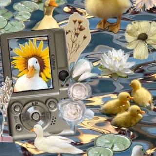 Duck collage wallpaper