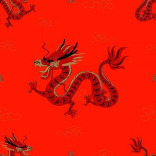 Dragon Zodiac wallpaper