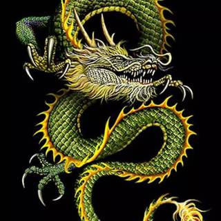 Dragon Zodiac wallpaper