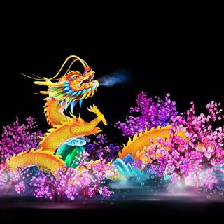 Dragon Zodiac wallpaper