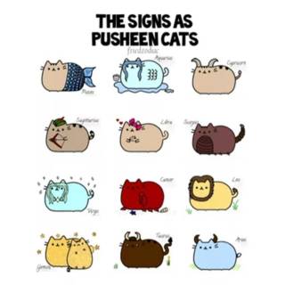 Cancer Pusheen wallpaper